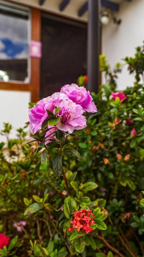 Flat Com Piscina No Centro De Holiday home Tiradentes